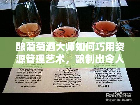 酿葡萄酒大师如何巧用资源管理艺术，酿制出令人垂涎的美味葡萄酒？