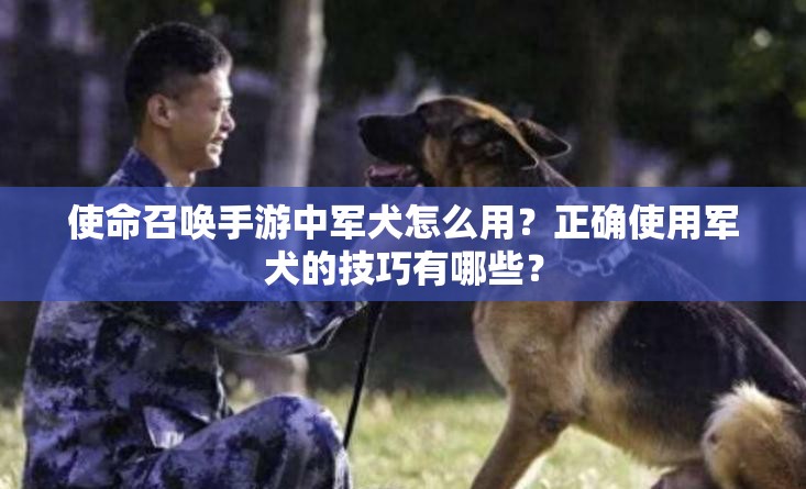 使命召唤手游中军犬怎么用？正确使用军犬的技巧有哪些？