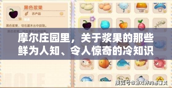 摩尔庄园里，关于浆果的那些鲜为人知、令人惊奇的冷知识你知道吗？