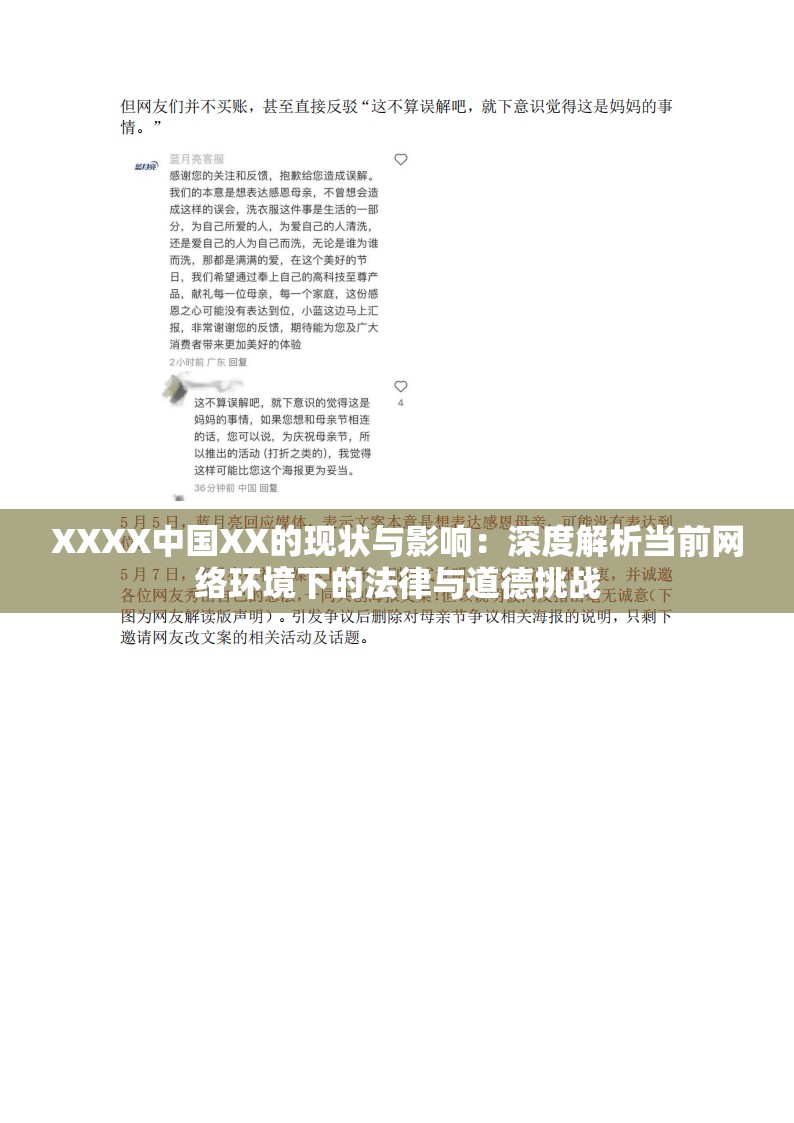 XXXX中国XX的现状与影响：深度解析当前网络环境下的法律与道德挑战