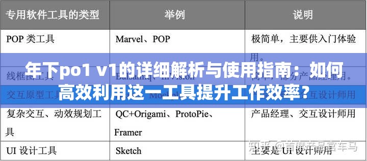 年下po1 v1的详细解析与使用指南：如何高效利用这一工具提升工作效率？