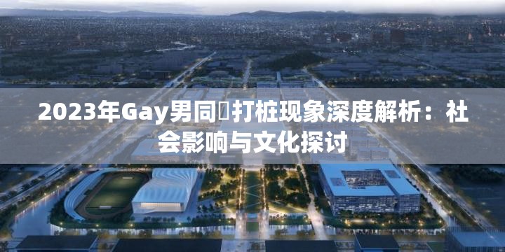 2023年Gay男同⚣打桩现象深度解析：社会影响与文化探讨