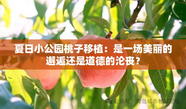 夏日小公园桃子移植：是一场美丽的邂逅还是道德的沦丧？