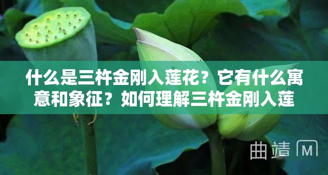 什么是三杵金刚入莲花？它有什么寓意和象征？如何理解三杵金刚入莲花的含义？