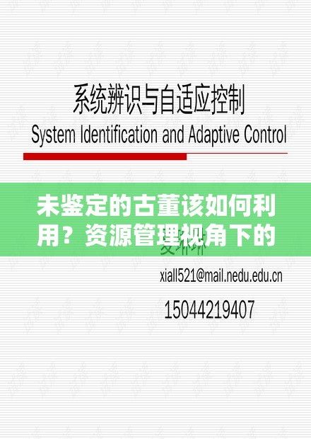 未鉴定的古董该如何利用？资源管理视角下的深度探讨引悬念