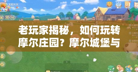 老玩家揭秘，如何玩转摩尔庄园？摩尔城堡与牧场隐藏秘密大揭秘！