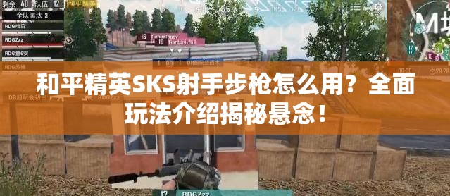 和平精英SKS射手步枪怎么用？全面玩法介绍揭秘悬念！