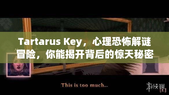 Tartarus Key，心理恐怖解谜冒险，你能揭开背后的惊天秘密吗？