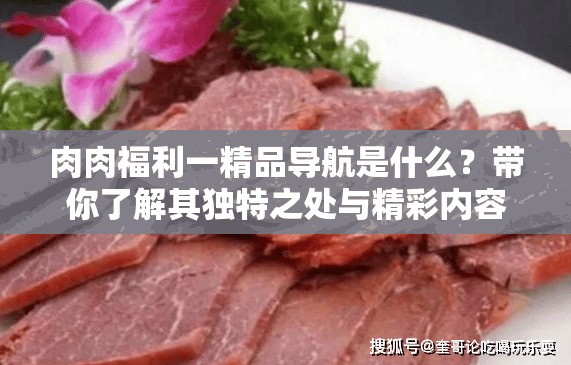 肉肉福利一精品导航是什么？带你了解其独特之处与精彩内容