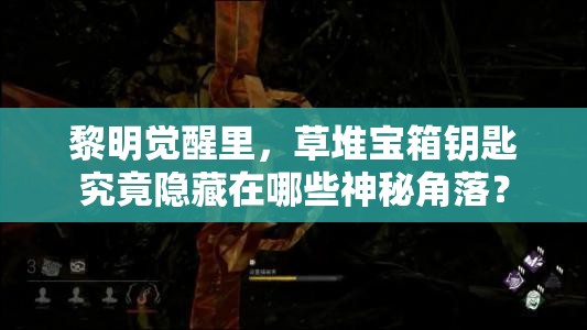 黎明觉醒里，草堆宝箱钥匙究竟隐藏在哪些神秘角落？