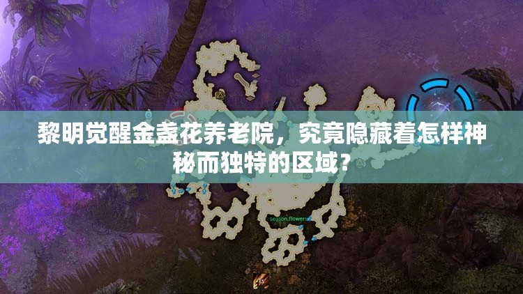 黎明觉醒金盏花养老院，究竟隐藏着怎样神秘而独特的区域？