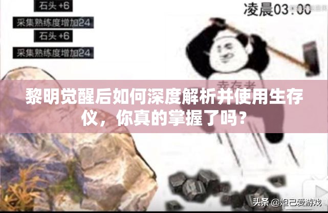 黎明觉醒后如何深度解析并使用生存仪，你真的掌握了吗？