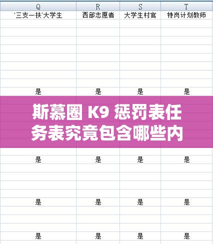 斯慕圈 K9 惩罚表任务表究竟包含哪些内容？深入了解其具体细节