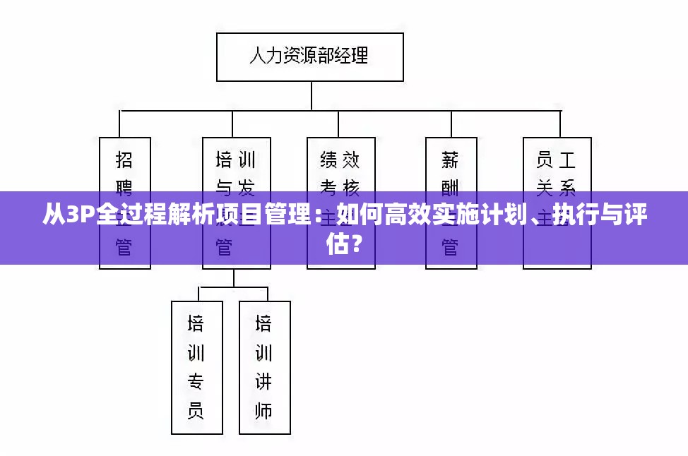 从3P全过程解析项目管理：如何高效实施计划、执行与评估？