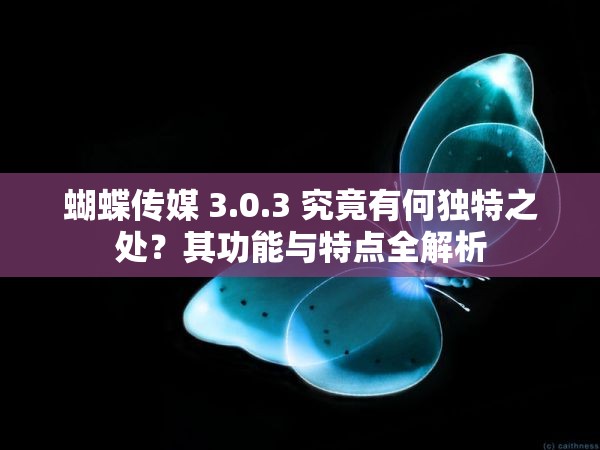 蝴蝶传媒 3.0.3 究竟有何独特之处？其功能与特点全解析