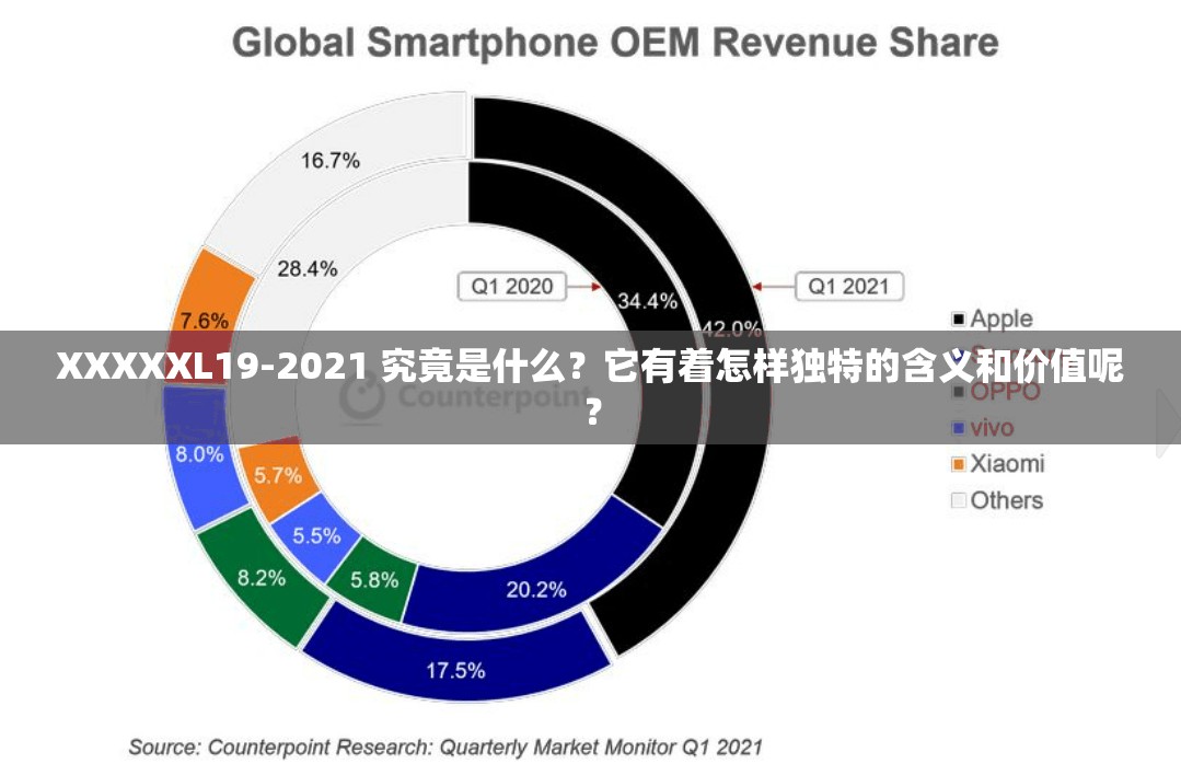 XXXXXL19-2021 究竟是什么？它有着怎样独特的含义和价值呢？