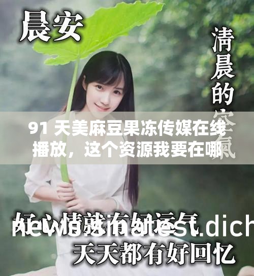 91 天美麻豆果冻传媒在线播放，这个资源我要在哪看？