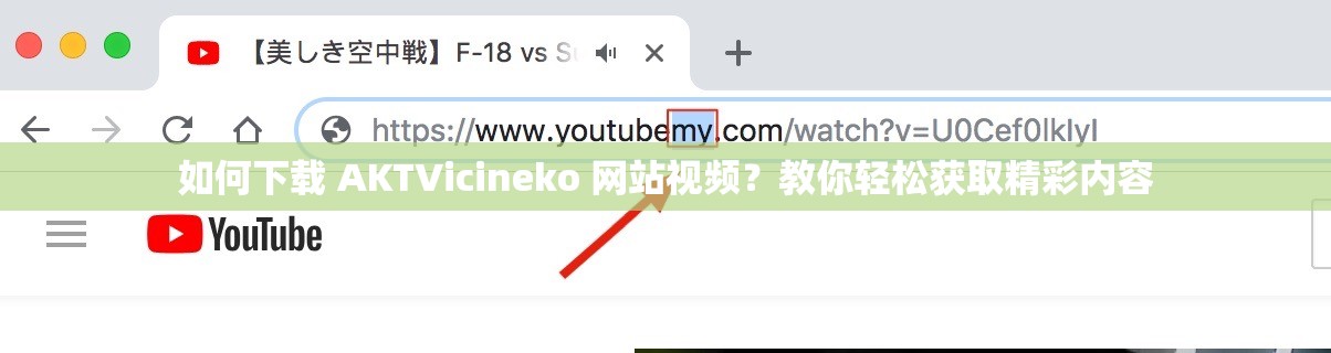 如何下载 AKTVicineko 网站视频？教你轻松获取精彩内容