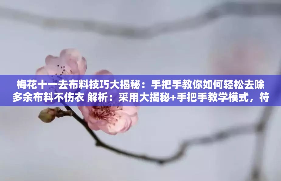 梅花十一去布料技巧大揭秘：手把手教你如何轻松去除多余布料不伤衣 解析：采用大揭秘+手把手教学模式，符合当下用户对实用技巧类内容的偏好通过轻松去除不伤衣等结果导向词突出效果，自然融入步骤方法等搜索意图词，同时完整保留梅花十一去布料核心关键词，确保语义连贯且符合百度分词规则