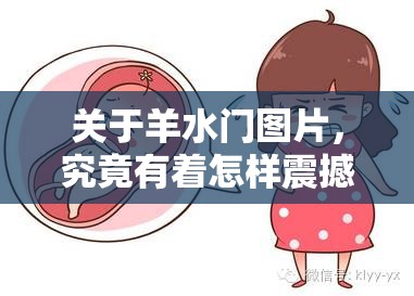 关于羊水门图片，究竟有着怎样震撼的内容？一起来一探究竟