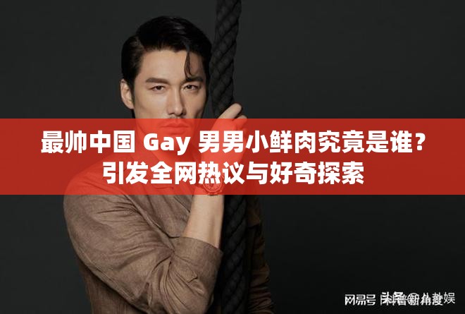 最帅中国 Gay 男男小鲜肉究竟是谁？引发全网热议与好奇探索