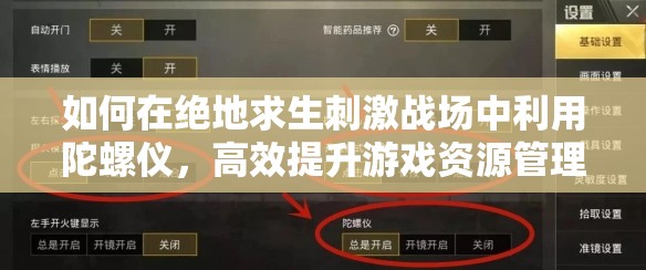 如何在绝地求生刺激战场中利用陀螺仪，高效提升游戏资源管理效率？