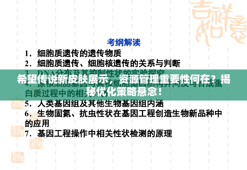 希望传说新皮肤展示，资源管理重要性何在？揭秘优化策略悬念！