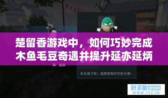 楚留香游戏中，如何巧妙完成木鱼毛豆奇遇并提升延亦延炳好感度？