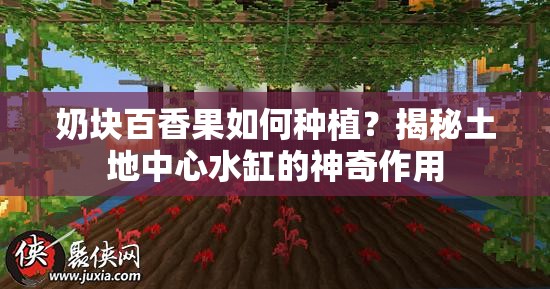 奶块百香果如何种植？揭秘土地中心水缸的神奇作用