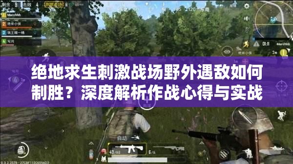 绝地求生刺激战场野外遇敌如何制胜？深度解析作战心得与实战策略